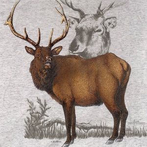 Vintage Elk T-Shirt